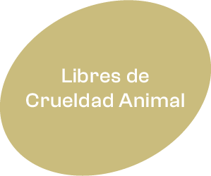 Icono