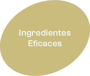 Icono