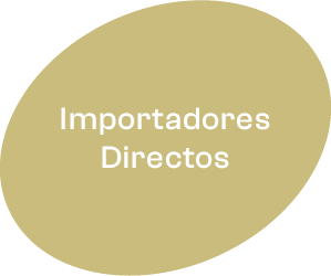 Icono